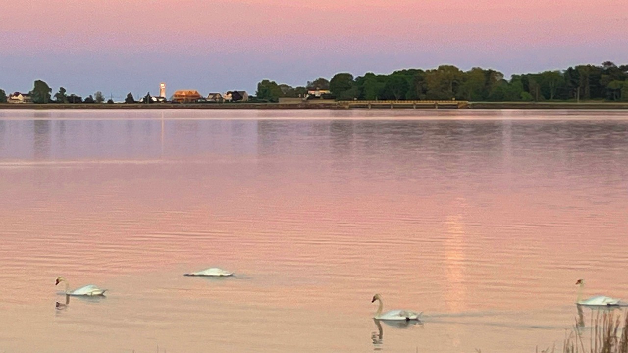 Photo of Others in Old Saybrook Center