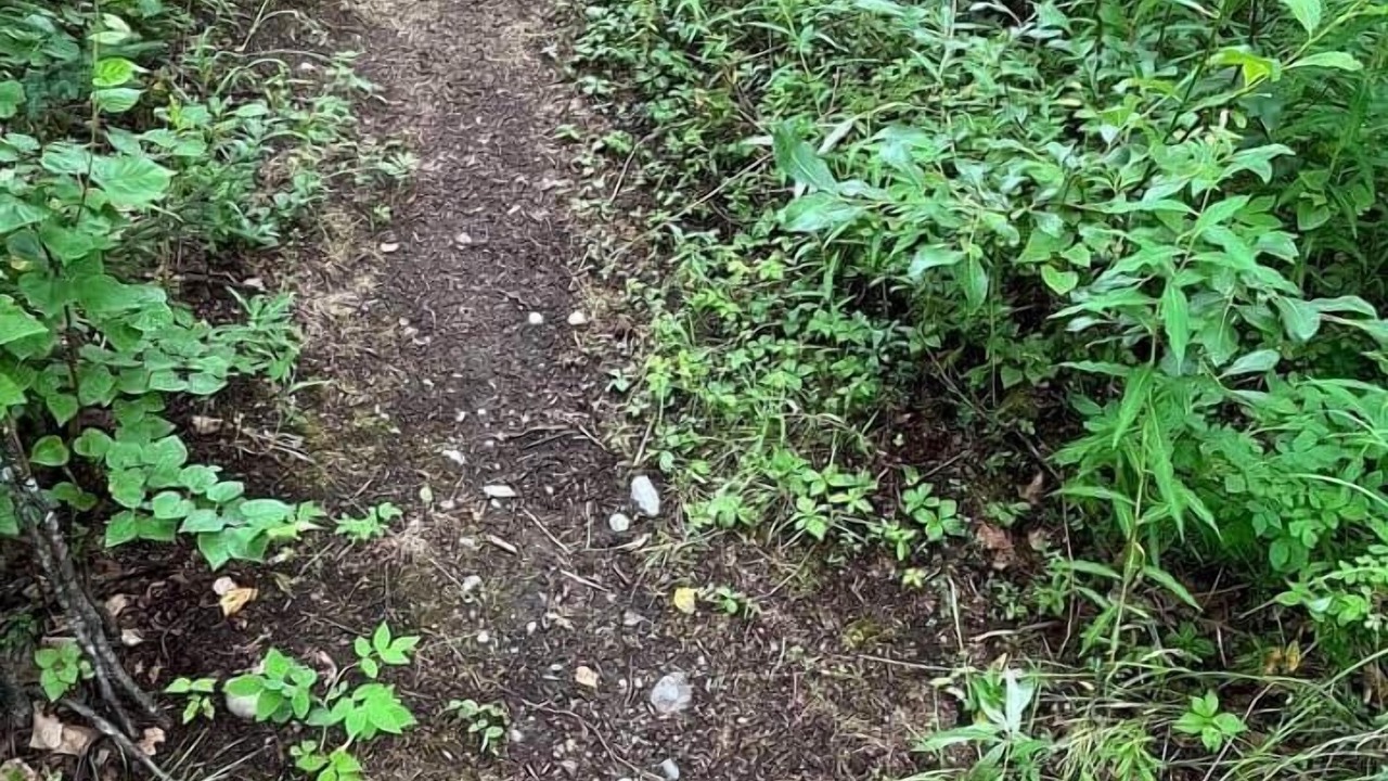 Photo of Outdoor in Houston