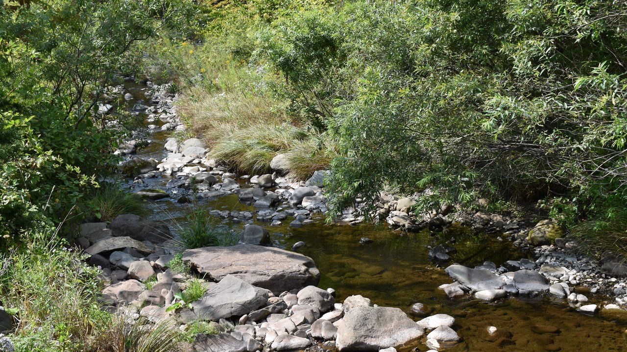 Photo of Others in Tannersville