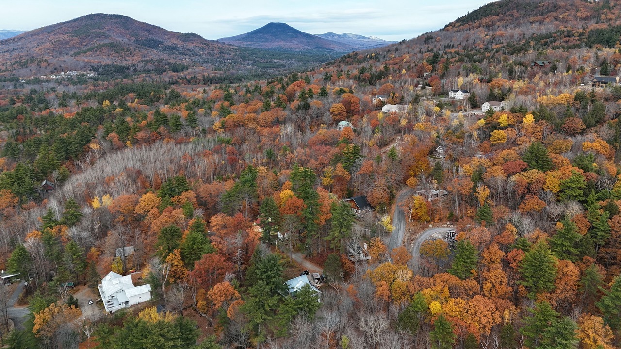 Photo of Outdoor in Intervale