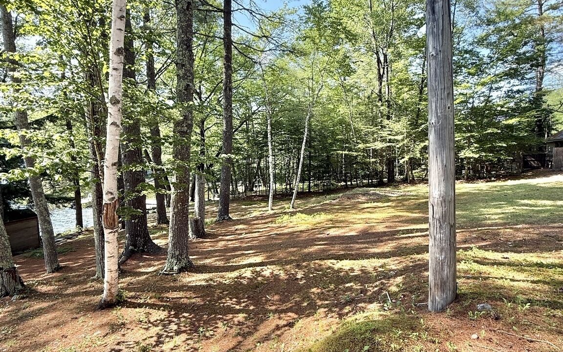 Photo of Outdoor in Sebago