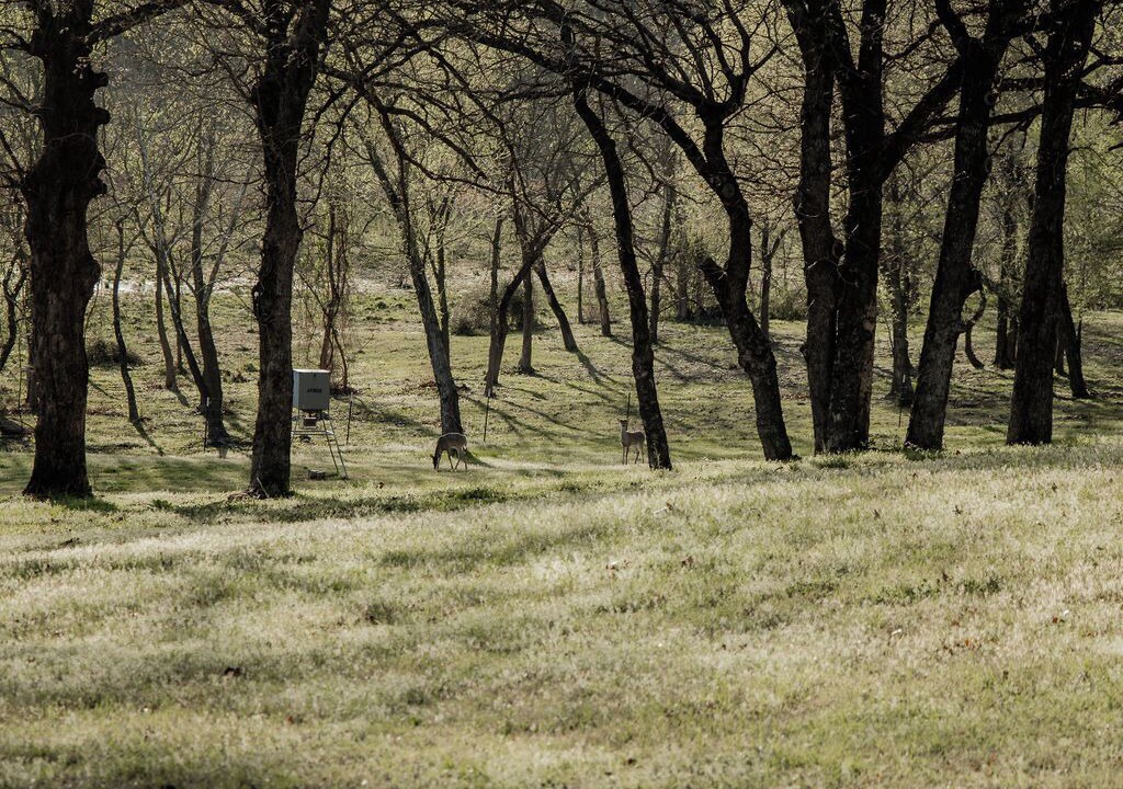 Photo of Others in Wagoner County