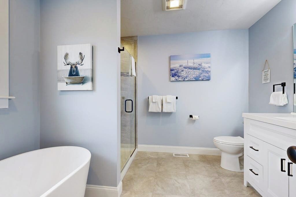 Photo of Bathroom in Intervale
