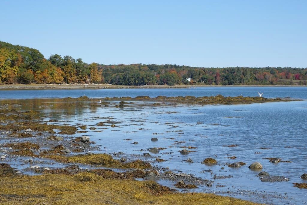 Photo of Others in Waldoboro