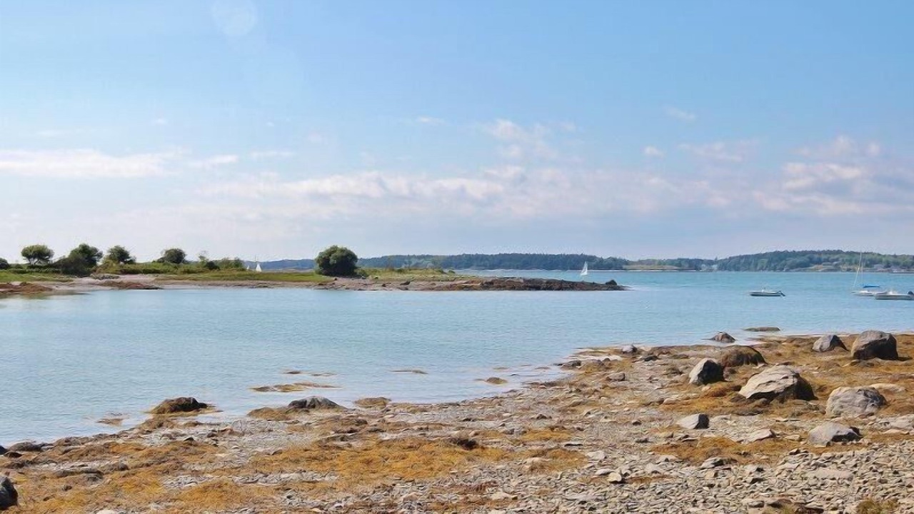Photo of Others in Tenants Harbor