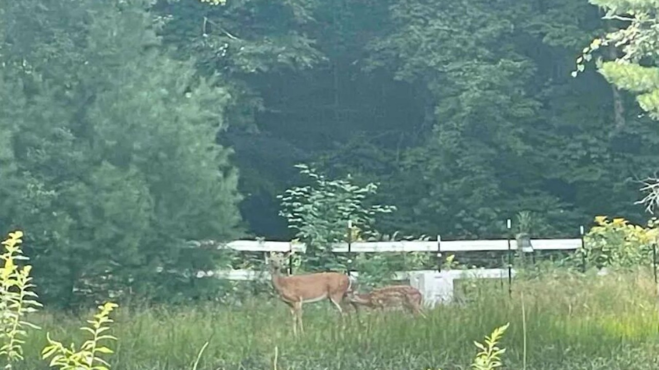 Photo of Others in Mason