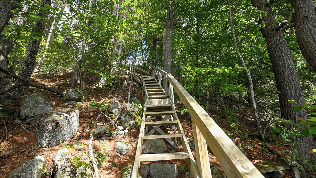Photo of Outdoor in South Casco