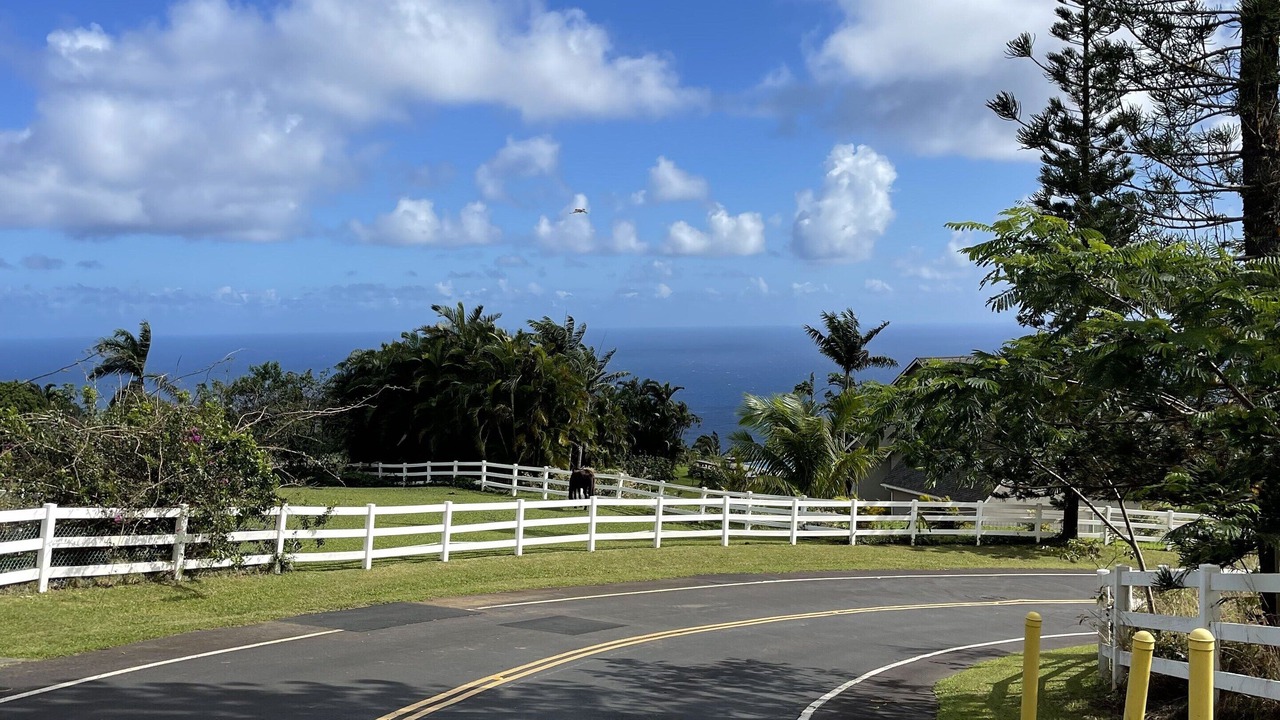 Photo of Outdoor in Wailuku