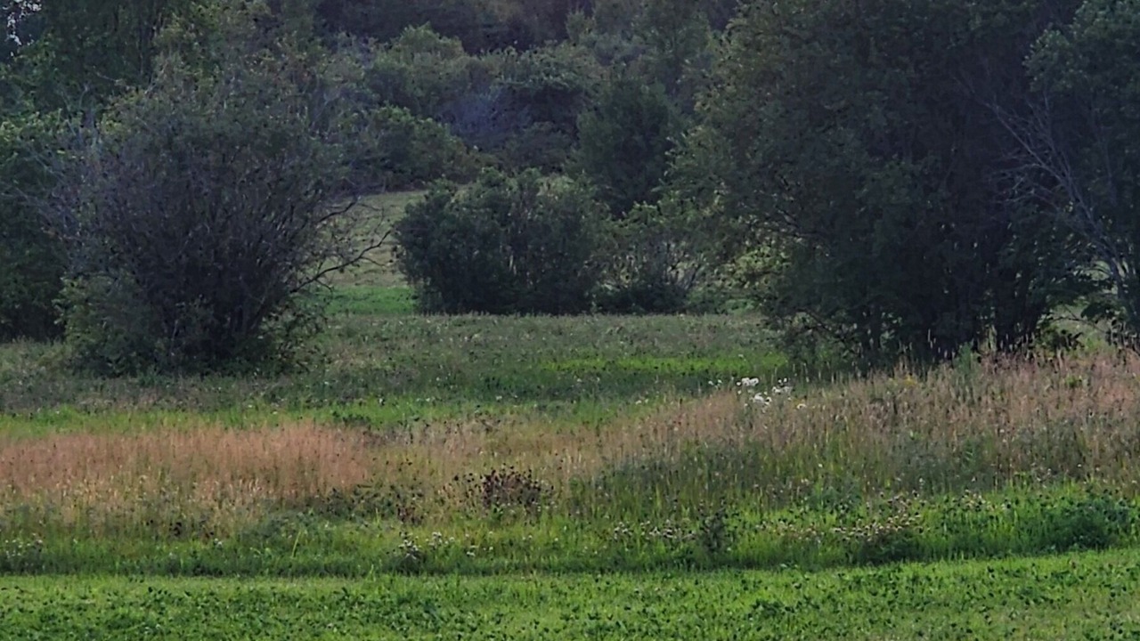 Photo of Others in Patten