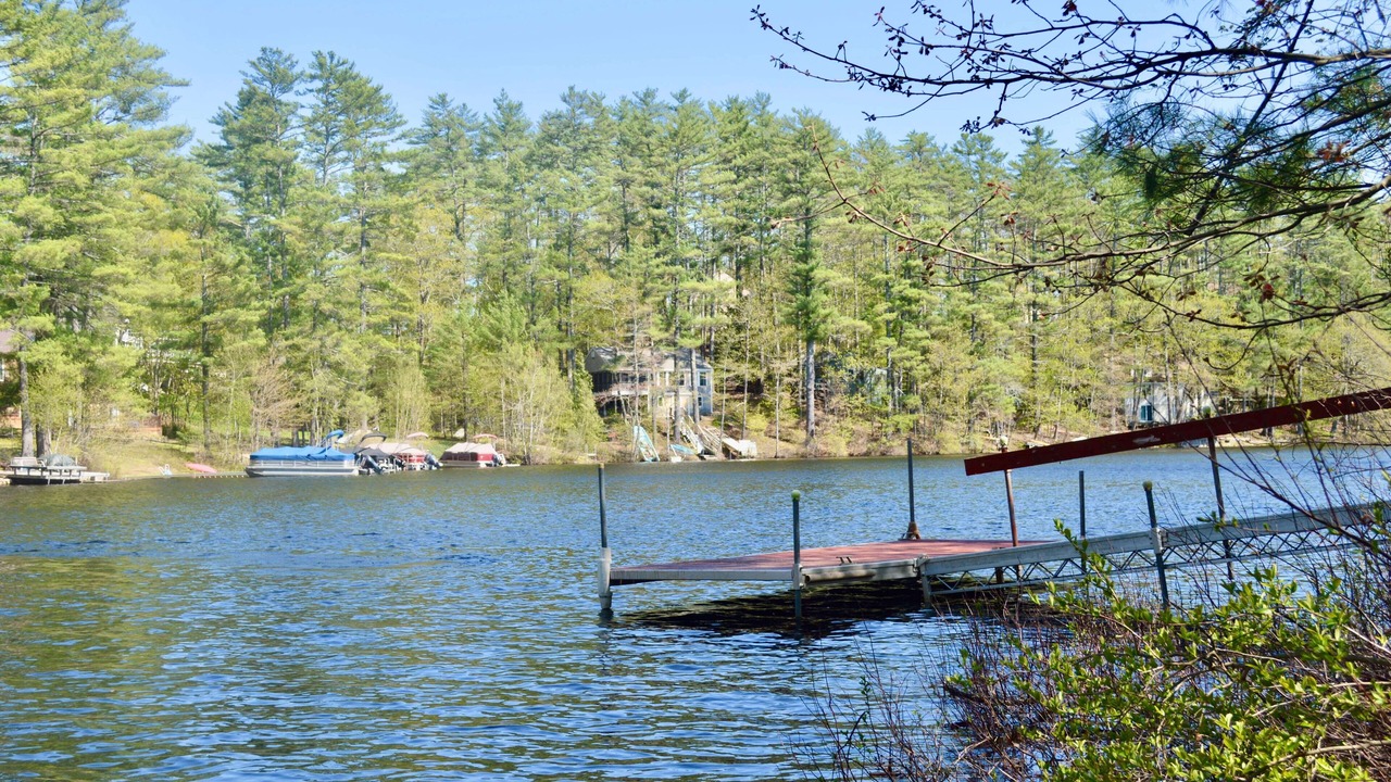 Photo of Others in Shapleigh