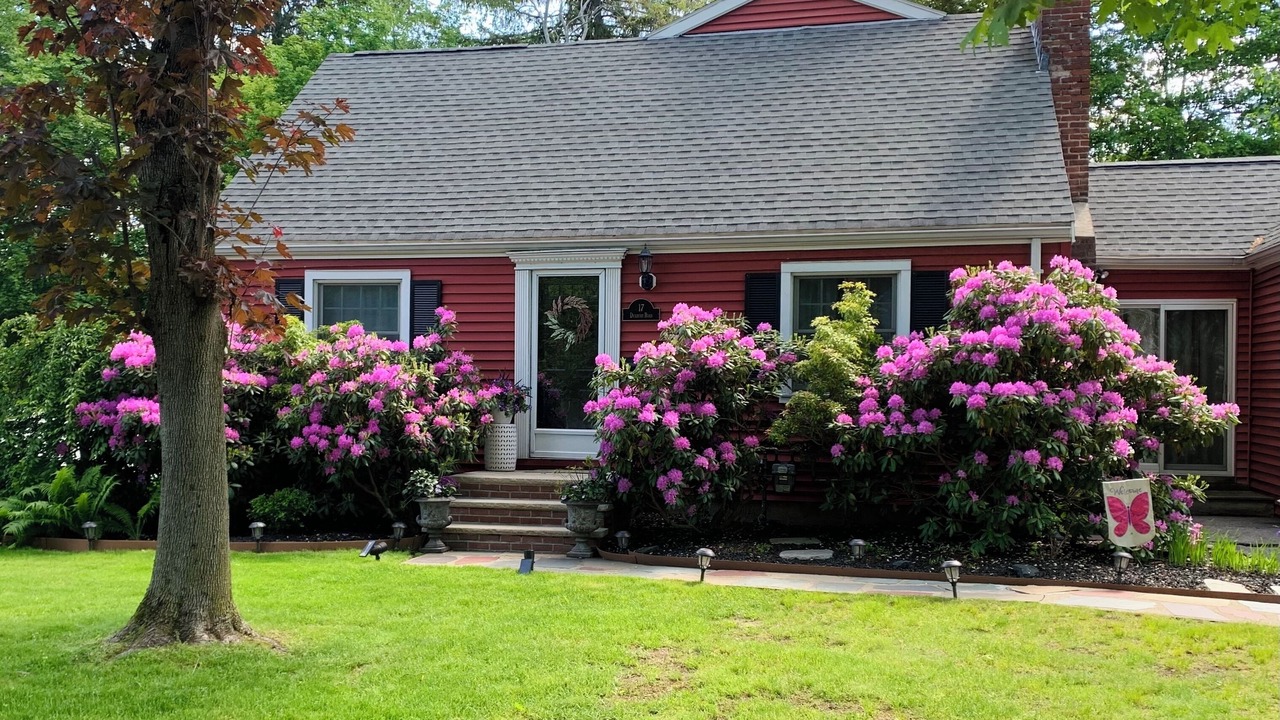 Photo of Outdoor in Wellesley