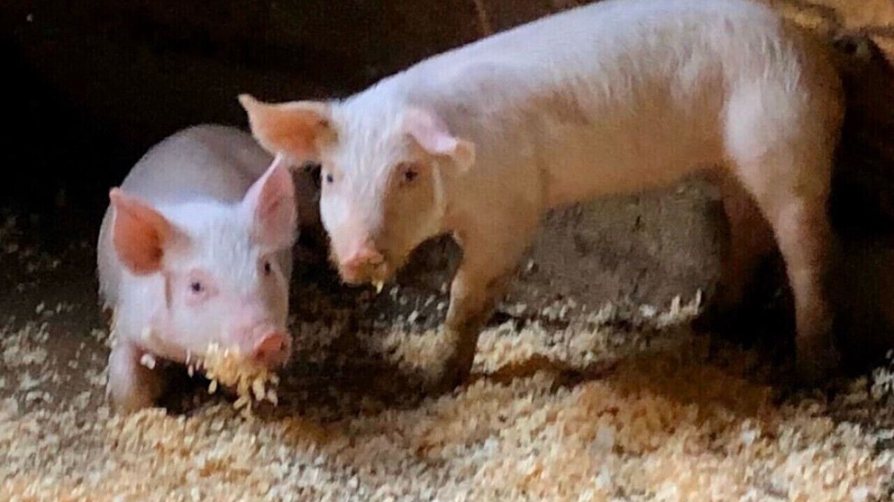 Photo of Others in Union