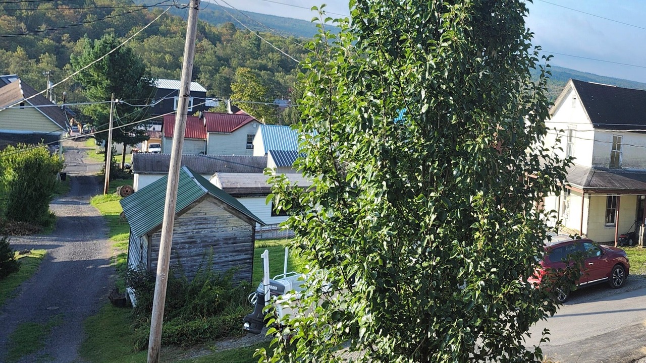 Photo of Others in Canaan Valley