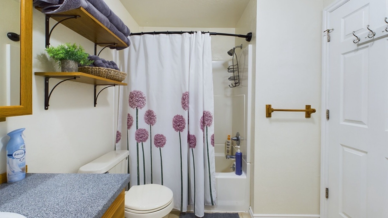 Photo of Bathroom in Mendenhall Valley