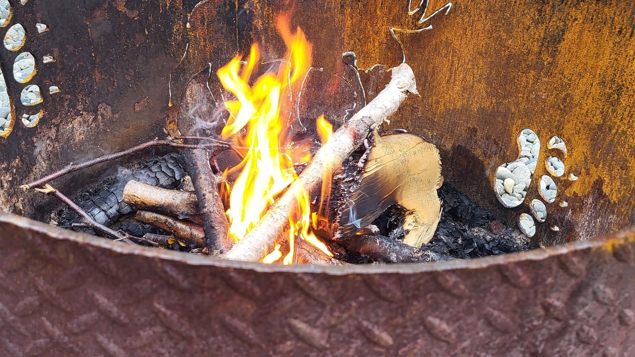 Photo of Outdoor in Willow