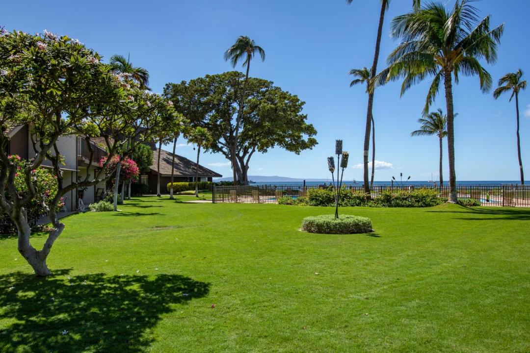 Photo of Others in Kihei