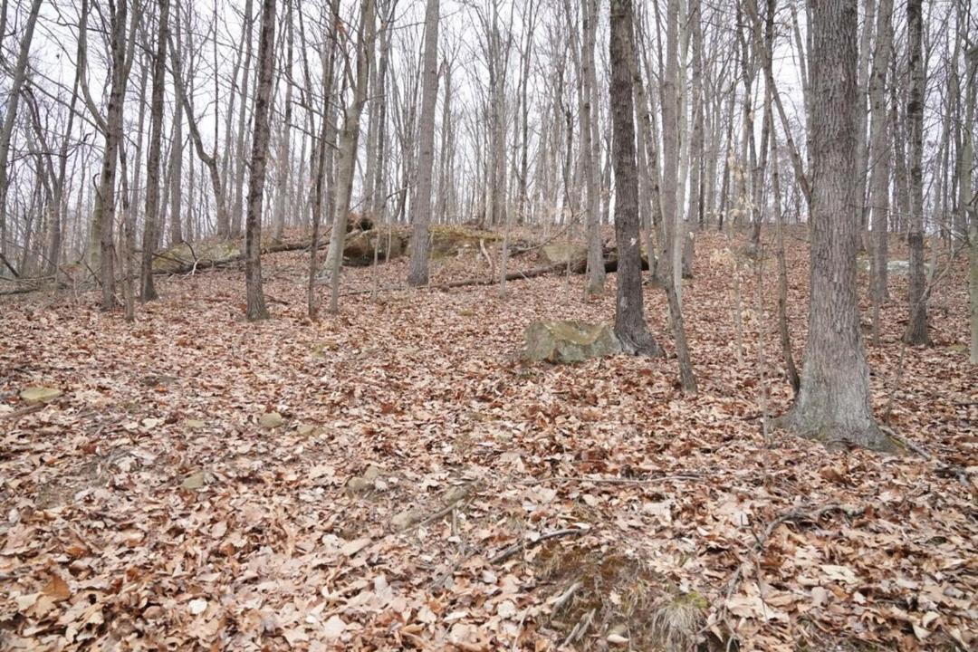 Photo of Others in Watertown