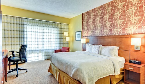 Room, 1 King Bed, Hearing Accessible (Roll-in Shower)
