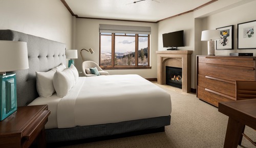 Room, 1 King Bed, Accessible (Shower)
