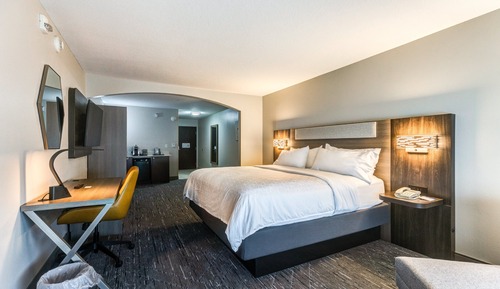 Suite, 1 King Bed, Accessible (Comm, Transfer Shower)