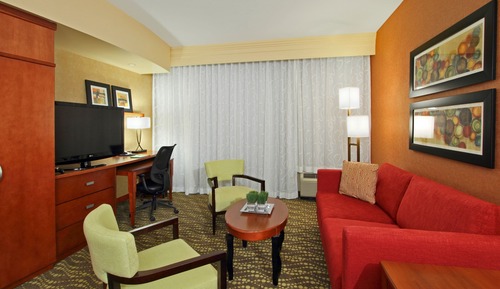 Suite, 1 King Bed with Sofa bed