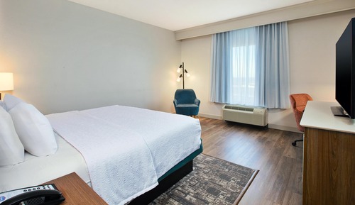 Room, 1 King Bed, Accessible (Roll In Shower)