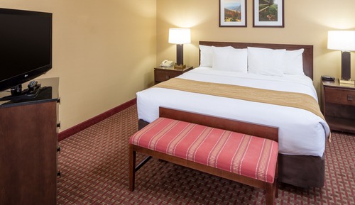 Room, 1 King Bed with Sofa bed, Accessible, Non Smoking (Roll-In Shower)