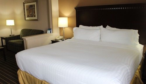 Suite, 1 King Bed