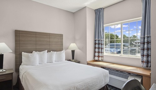 Suite, 1 Queen Bed
