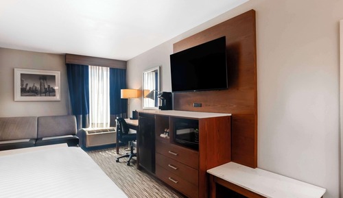 Standard Room, 1 King Bed, Accessible, Refrigerator & Microwave (Walk-in Shower)