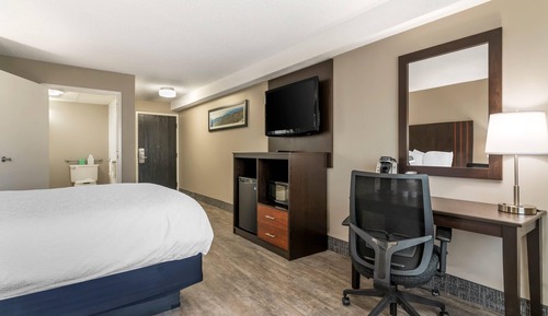 Standard Room, 1 King Bed, Non Smoking (Pet-Friendly)