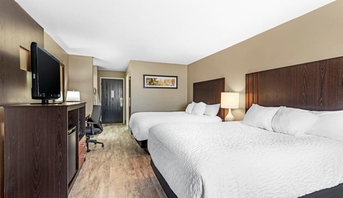 Standard Room, 2 Queen Beds, Non Smoking (Pet-Friendly)