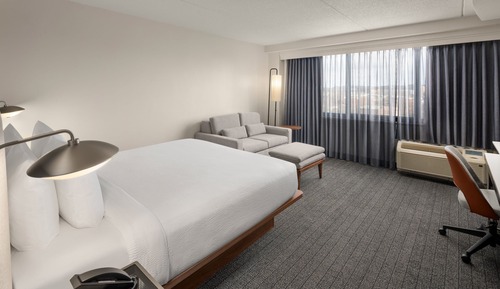 Room, 1 King Bed with Sofa bed (Mobility Accessible, Tub)
