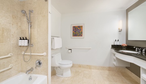 Classic Room, 1 King Bed, Accessible (Accessible Tub)