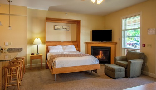 Deluxe Studio, Queen Wall Bed and Queen Sleep Sofa 