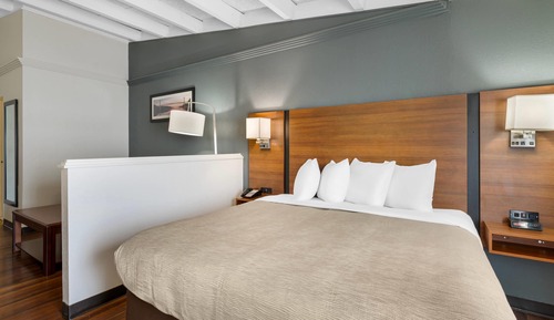 Suite, 1 King Bed with Sofa bed