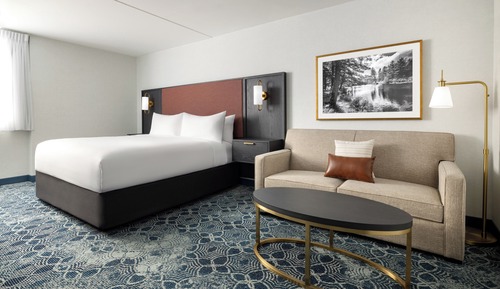 Room, 1 King Bed