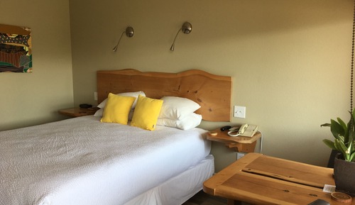 Single Room, 1 King Bed