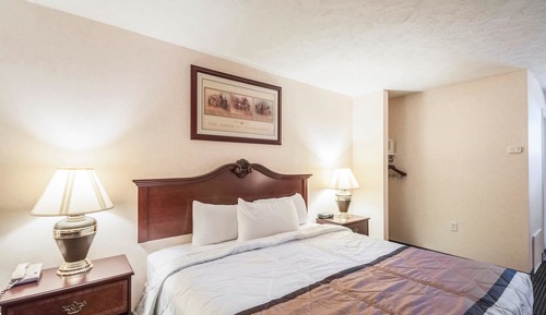 Standard Room, 1 King Bed, Non Smoking