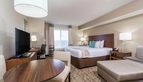 Suite, 1 King Bed