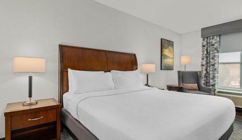 Room, 1 King Bed