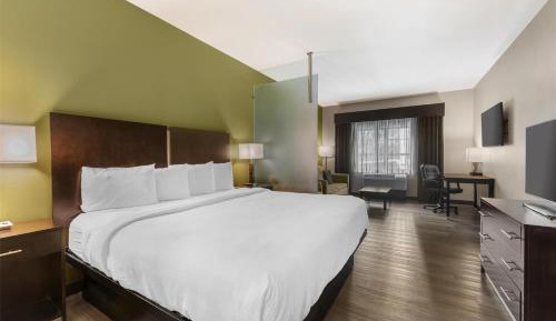 King Suite with Sofa Bed - Non-Smoking