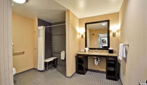 King Suite with Roll-In Shower - Mobility and Hearing Access/Non-Smoking